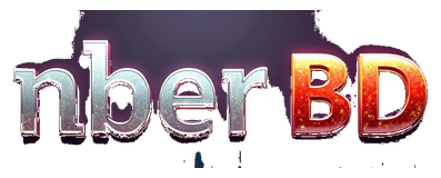 nber bd logo